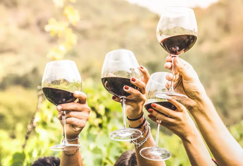 Brindisi festoso tra i vigneti del Chianti